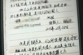 海南为什么选择专业追讨公司来处理您的债务纠纷？